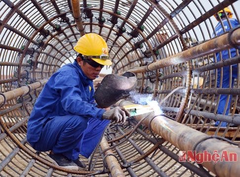 Nghệ An nợ đọng bảo hiểm hơn 169 tỷ đồng