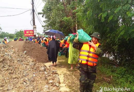 Hơn 500 người cứu đê sông Vinh