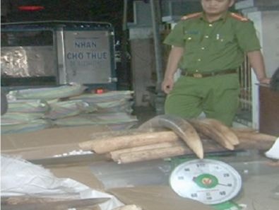 Chiến sĩ biên phòng tham gia vận chuyển lậu gần 1,5 tấn ngà voi