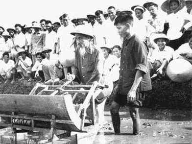 Tình cảm của Bác Hồ với giai cấp nông dân