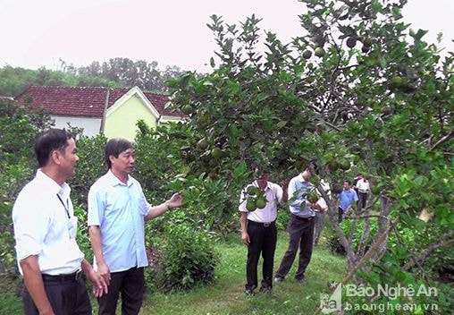 Thẩm định nông thôn mới tại 2 xã của huyện Yên Thành