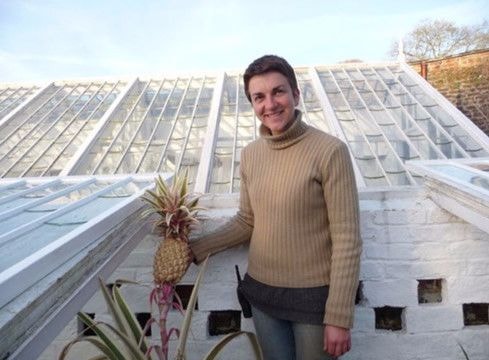 Loại dứa đắt nhất thế giới, 340 triệu đồng mới mua được 1 quả