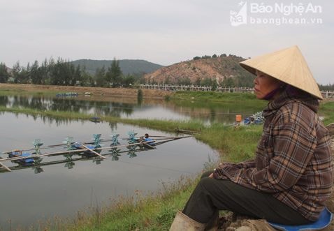 Nước mắt chủ đầm bãi ngang sau lũ