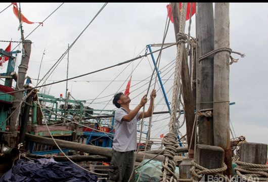 Tàu thuyền Nghệ An khẩn trương về trú tránh áp thấp