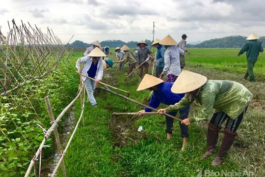 Các địa phương tích cực ra quân làm thủy lợi
