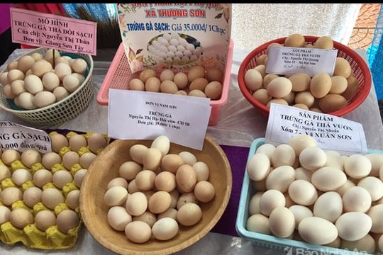 Nông sản sạch Đô Lương 'ra mắt' thị trường