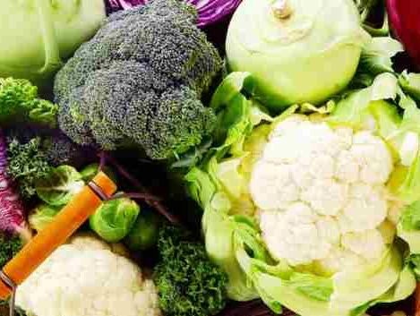 Kinh ngạc lợi ích của các loại rau họ cải