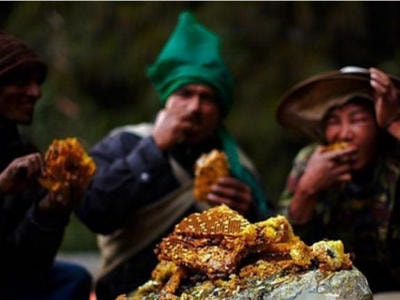 Treo mình giữa vực sâu lấy mật ong 'đắt hơn vàng'