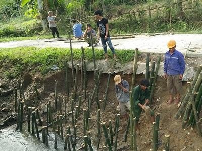Cả làng góp tre kè đường, chống sạt lở
