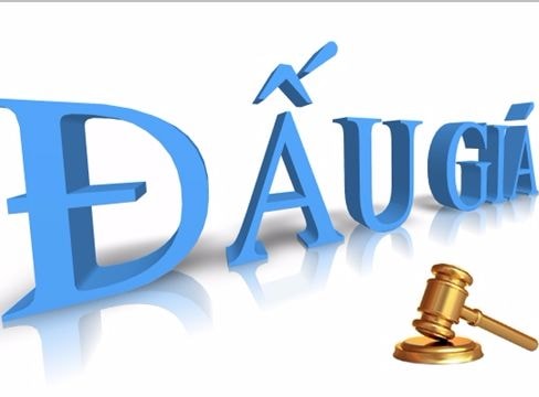 Thông báo bán đấu giá quyền sử dụng đất