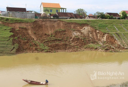 Đê sông Đào Đô Lương tiếp tục sạt lở thêm 40m