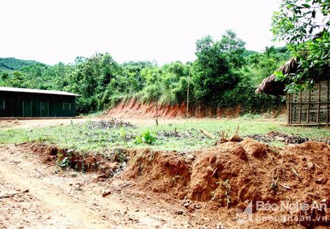 Bí thư chi bộ vùng cao hiến gần 4 ngàn mét vuông đất xây trường