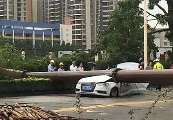 Xe Audi bị cần cẩu khổng lồ đè bẹp, tài xế thoát chết thần kỳ