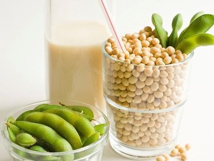 Đậu nành - Thực phẩm tốt cho phụ nữ tuổi mãn kinh