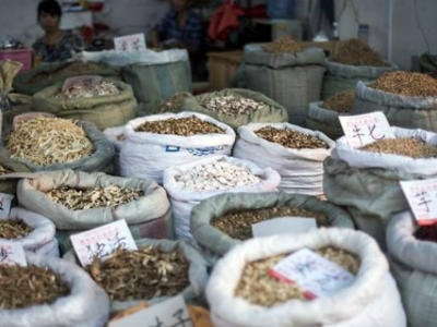 Một vị thuốc bắc 'liên quan mật thiết' đến ung thư gan ở châu Á