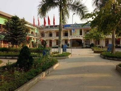 Người đánh học sinh, hiệu trưởng xin lỗi và chịu mọi chi phí chữa trị