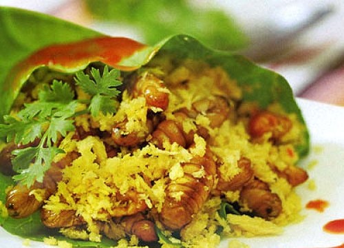 5 món ngon, bổ dưỡng chế biến từ nhộng tằm