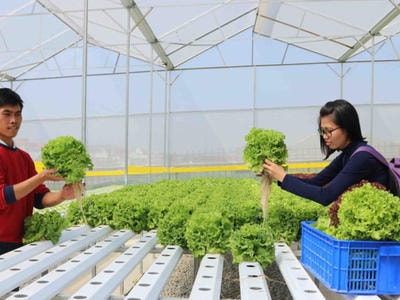 Đề xuất chính sách hỗ trợ doanh nghiệp nhỏ và vừa khởi nghiệp sáng tạo