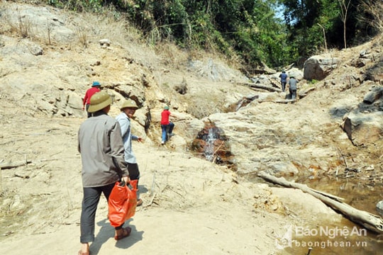 Tìm vào 'ốc đảo' ở Tương Dương