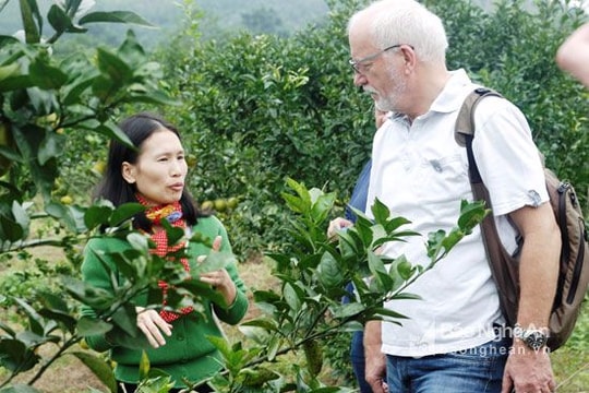 Chia sẻ kinh nghiệm về chuỗi liên kết sản xuất cam