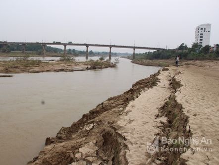 Hơn nghìn mét bãi bồi sông Hiếu sạt lở nghiêm trọng