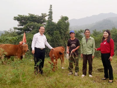 Trao bò giống cho hộ nghèo xã biên giới Anh Sơn