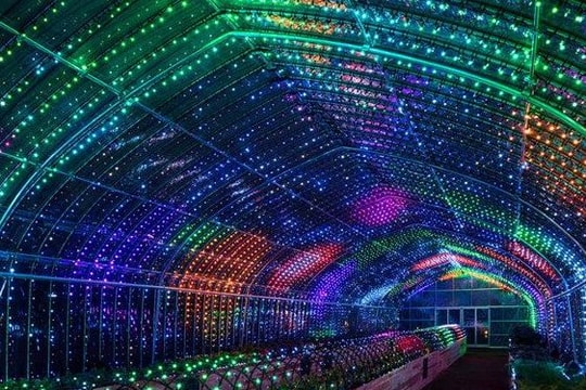 Vườn rau kỹ thuật số có một không hai tại Nhật Bản