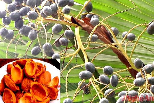 Lợi ích kép từ 'cây tro'