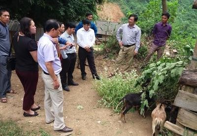 Nuôi dê hàng hóa, hướng đi mới ở vùng biên Kỳ Sơn