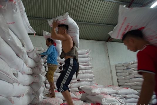 Sinh viên đại học nhọc nhằn nghề bốc vác thuê