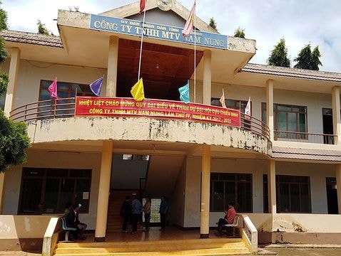 Khai trừ Đảng giám đốc để 'công ty thua lỗ kéo dài'