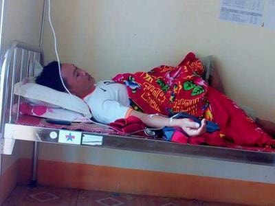 Vợ chồng bị ong khoái tấn công phải nhập viện