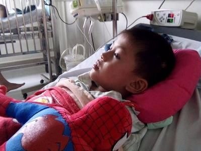 Bé trai 6 tuổi bị hàng chục ong đốt đã qua cơn nguy kịch