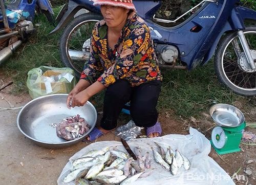 Nơi chợ quê vô tư bày bán cá 'tử thần'