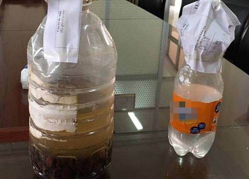 7 người bị ngộ độc do uống rượu ngâm cà độc dược