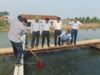 Nuôi cá theo công nghệ 'tạo sông trong ao' thu tiền tỷ ở Nghệ An