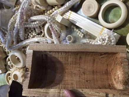 Giấu trang sức làm bằng ngà voi trong khúc gỗ khoét rỗng