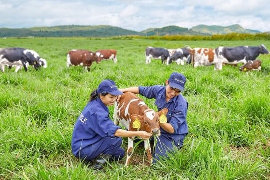 Vinamilk uy tín nhất ngành thực phẩm Việt Nam năm 2017