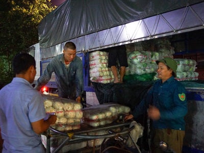 'Sốc' rau quả Trung Quốc 'lột vỏ' thành hàng Việt ở chợ đầu mối Nghệ An