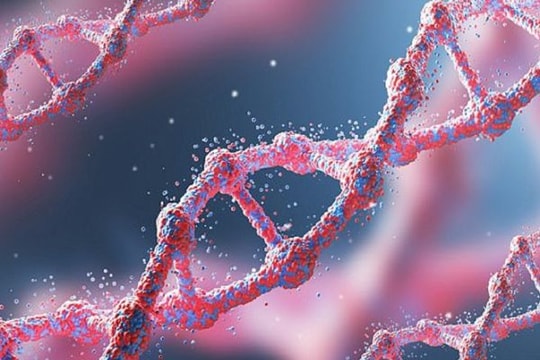 20 sự thật cực kỳ thú vị về cơ thể con người