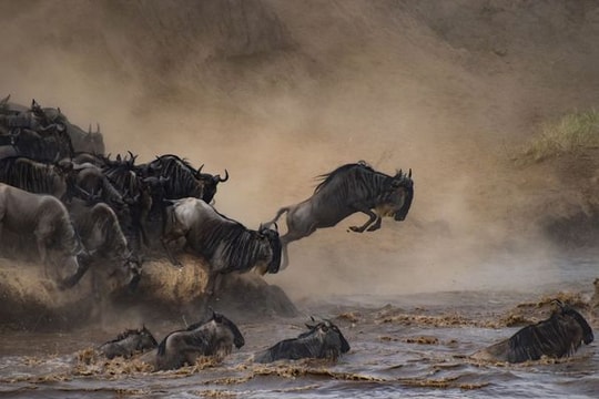 Bộ ảnh thiên nhiên đẹp nhất tháng 10