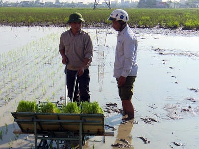 Nông dân Diễn Châu mua 120 máy cấy không động cơ