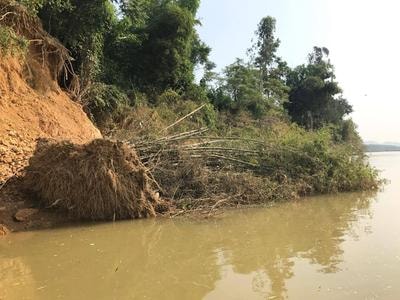 Lo sạt lở bờ sông Hiếu 'nuốt' nhà dân
