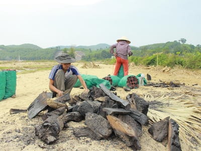 Dân bản ra suối vớt củi đốt than bán