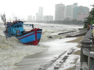 Putin chỉ đạo viện trợ Việt Nam 5 triệu USD khắc phục hậu quả bão số 12