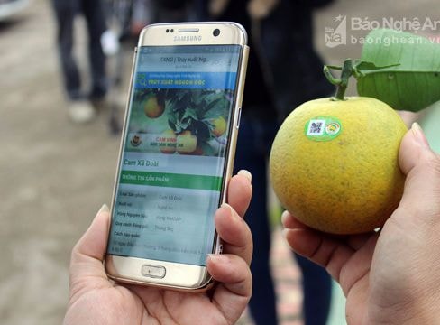 Cam Vinh chính thức được dán tem truy xuất điện tử