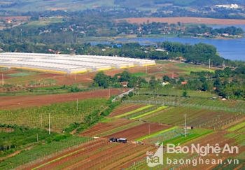 Thấy gì ở trang trại 'triệu đô' của Tập đoàn TH?