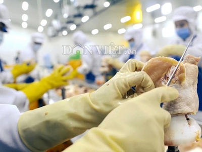 Làm thịt đạt chuẩn quốc tế: Sa thải 50% công nhân vì 'lười' học hỏi