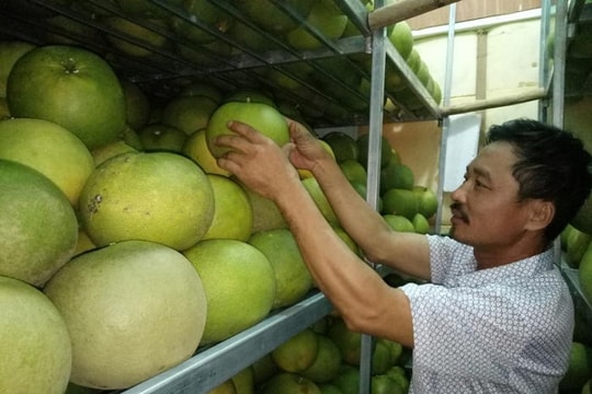 Nghệ An: Hơn 90% doanh nghiệp chưa đăng ký nhãn hiệu