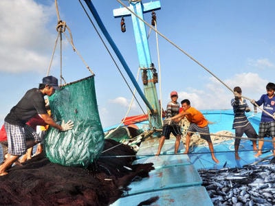 Phạt nặng hành vi khai thác thủy hải sản bất hợp pháp